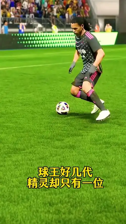 属于末端环