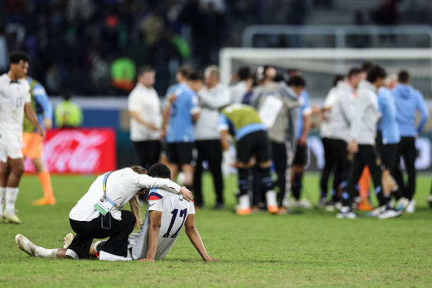 本土球员的 本土球员的